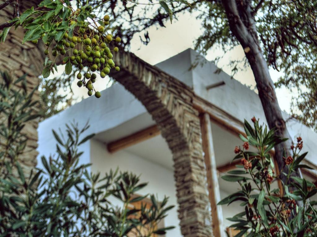Irene'S Villas Andros Island Exterior photo